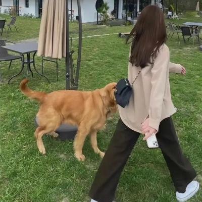 泰瑞丝人生回眸